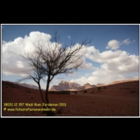 18031 12 157 Wadi Rum Jordanien 2011.jpg